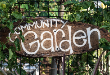 Community Garden