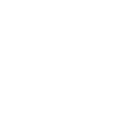 Exit Icon